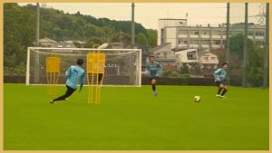 Conditioning Training With Balls